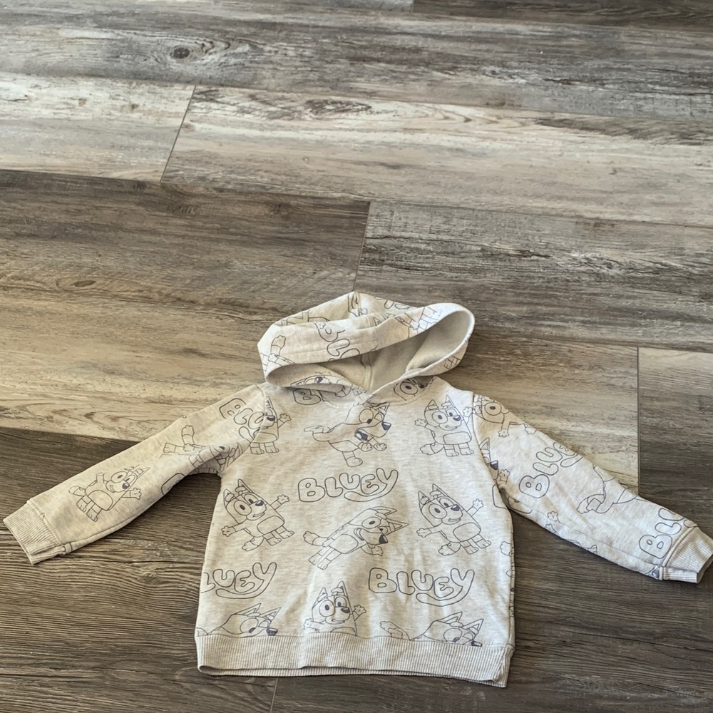 Bluey Kids Gray Graphic Hoodie